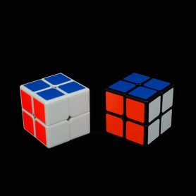 ShengShou Legend 2x2