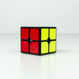 Shengshou Mr. M 2x2