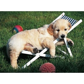 Puzzle Ravensburger Chiots Golden Retriever de 500 pièces Ravensburger - 1