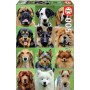 Puzzle Educa Collage de chiens de 500 pièces - Puzzles Educa