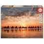 Puzzle Educa Golden Sunset In Cable Beach, Australie 1000 pièces - Puzzles Educa