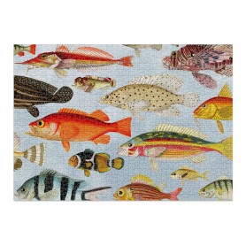 Puzzle cloudberries Aquatic de 1000 Piezas Cloudberries - 1