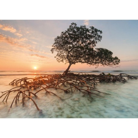 1000 Puzzle Heye de mangrove rouge pièces - Heye