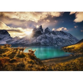 Puzzle Heye Guanacos de 1000 Piezas Heye - 2
