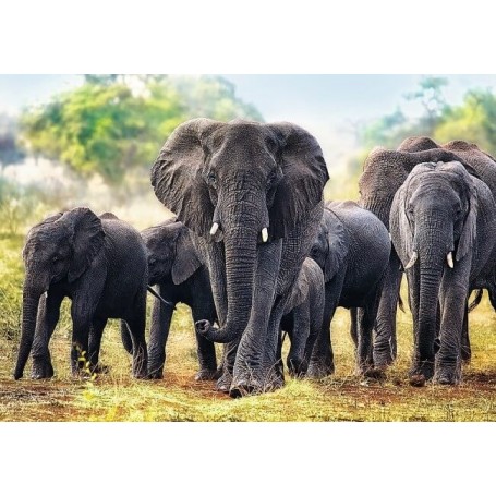 Puzzle Trefl Éléphants d'Afrique de 1000 Pièces - Puzzles Trefl