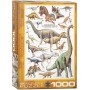 Puzzle Eurographics Dinosaures du jurassiques de 1000 Pièces - Eurographics
