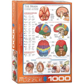 Puzzle Eurographics Le cerveau de 1000 Pièces Eurographics - 1