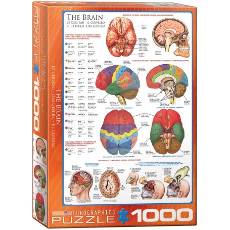 Puzzle Eurographics Le cerveau de 1000 Pièces - Eurographics