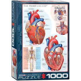 Puzzle Eurographics Le coeur de 1000 Pièces Eurographics - 1