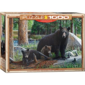 Puzzle Eurographics Découvrant la Vie de 1000 Pièces Eurographics - 1