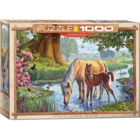 Puzzle Eurographics Les poulains de Steve Crujiente de 1000 Pièces Eurographics - 1
