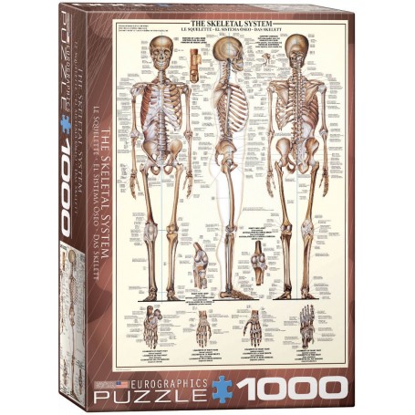 Puzzle Eurographics Le système osseux de 1000 Pièces - Eurographics