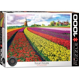 Puzzle Eurographics Champ de tulipes, Hollande de 1000 Pièces Eurographics - 1