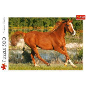 Puzzle Trefl La beauté du galop de 500 Pièces Puzzles Trefl - 1