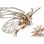 Ugearsmodels - Papillon - Ugears Models