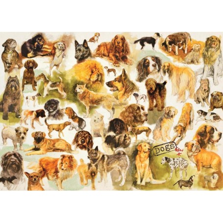Puzzle Jumbo Poster de chiens de 1000 Pièces - Jumbo