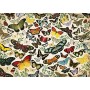 Puzzle Jumbo Poster de papillon de 1000 pièces - Jumbo