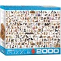 Puzzle Eurographics Le monde des chiens de 2000 pièces - Eurographics