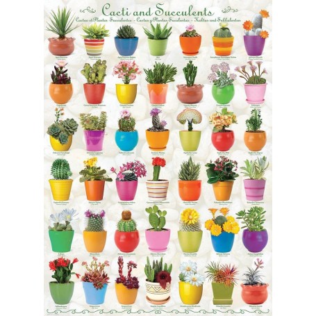 Puzzle Eurographics Cactus et plantes succulentes de 1000 pièces - Eurographics