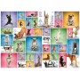 Puzzle Eurographics yoga chiens de 1000 Pièces - Eurographics