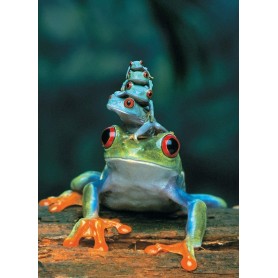 Puzzle Eurographics Grenouille aux yeux rouges 1000 pièces Eurographics - 1