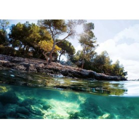 Puzzle Ravensburger Points de Vues de 1000 pièces Ravensburger - 1