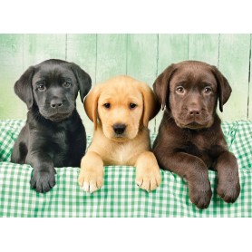 Puzzle Clementoni Los Tres Labradores De 1000 Piezas Clementoni - 2
