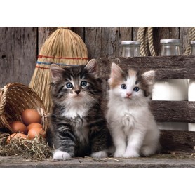Puzzle Clementoni Gatitos de 1000 Piezas Clementoni - 2