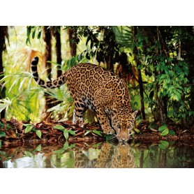 Puzzle Clementoni Leopardo de 2000 Piezas