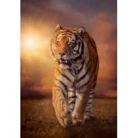 Puzzle Clementoni Tigre al Atardecer de 1500 Piezas Clementoni - 1