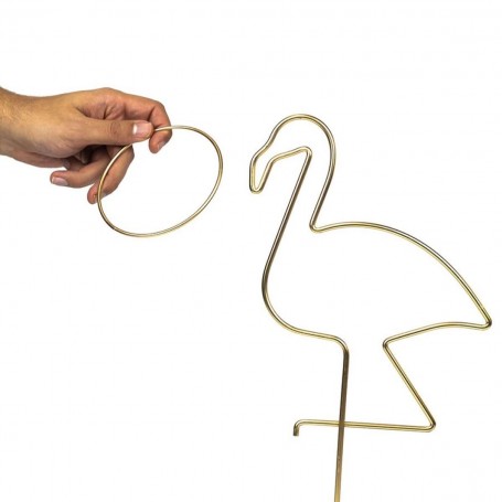 Flamant Rose Ringo - Professor Puzzle