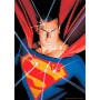 Puzzle Sdgames Superman 1000 Pièces SD Games - 1