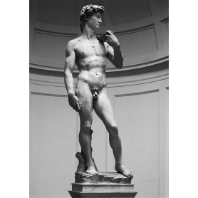 Puzzle Ricordi le David de 1000 pièces Editions Ricordi - 1