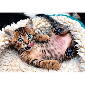 Puzzle Trefl Chaton Joyeux, 1000 pièces Puzzles Trefl - 1