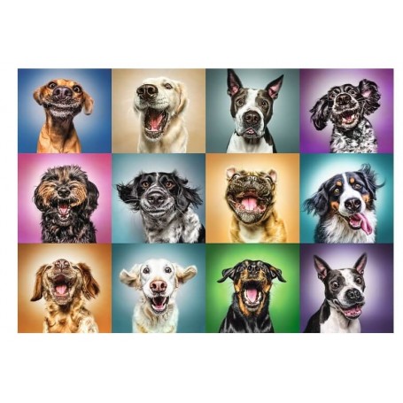 Puzzle Trefl Portraits de chiens drôles en 1000 pièces Puzzles Trefl - 1