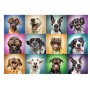 Puzzle Trefl Portraits de chiens drôles en 1000 pièces Puzzles Trefl - 1