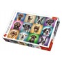 Puzzle Trefl Portraits de chiens drôles en 1000 pièces Puzzles Trefl - 2
