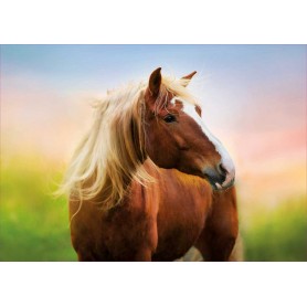 Puzzle Educa Cheval à l'aube de 500 pièces Puzzles Educa - 1