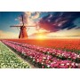 Puzzle Educa Paysage de tulipes de 1500 pièces Puzzles Educa - 1