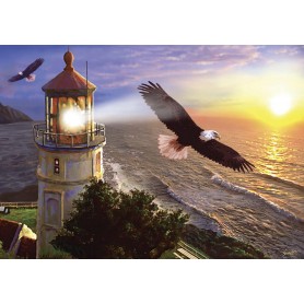 Art Puzzle Vol haut vers l'horizon 1000 pièces Art Puzzle - 1