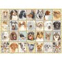 Puzzle Ravensburger Portraits de chiens 500 pièces Ravensburger - 1