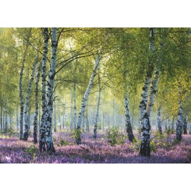 Puzzle Ravensburger Forêt de bouleaux 1000 pièces Ravensburger - 1
