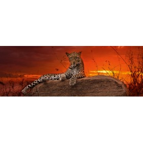 Puzzle Heye Sunset Red 2000 Pièces Heye - 1