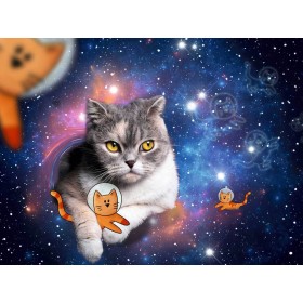 Puzzle Ravensburger Chat dans l'espace 1500 pièces Ravensburger - 1