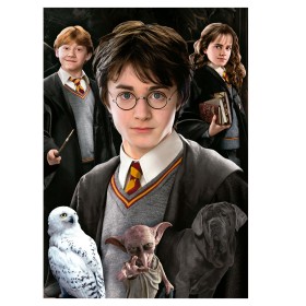 Puzzle Educa Harry Potter (pièces miniatures) de 1000 pièces Puzzles Educa - 1