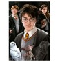 Puzzle Educa Harry Potter (pièces miniatures) de 1000 pièces Puzzles Educa - 1