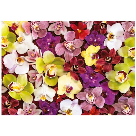 Puzzle Educa Collage d'orchidées de 1000 pièces Puzzles Educa - 1