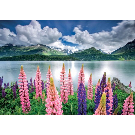 Puzzle Educa Lupins au bord du lac de Sils, Suisse 1500 pièces Puzzles Educa - 1