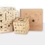 Scriptum Cube Kit Puzzle box Nkd Puzzle - 4
