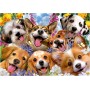 Educa Doggy Selfie Puzzle 1000 pièces Puzzles Educa - 2